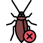cockroach (1)