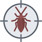 cockroach