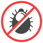 insect