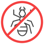 insect (2)